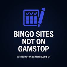 Explore New Bingo Sites Not On Your Radar