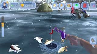 Ice fishing live game, ice fishing game online Ice fishing live game, ice fishing game online