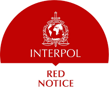 Understanding and Navigating the Interpol Red Notice Removal Process