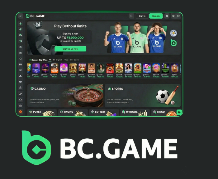Your Comprehensive Guide to BCGameBet Platform -384850994