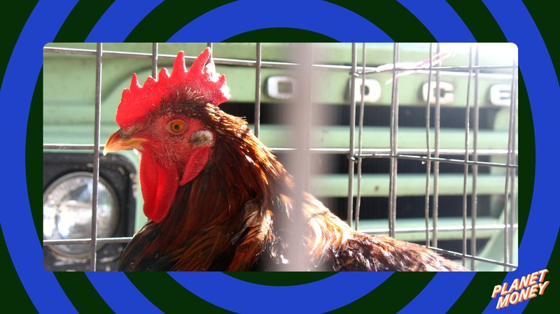 Entdecken Sie den Spaß von Chicken Road 2 in Deutschland jetzt spielen