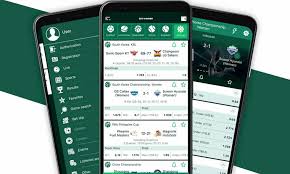 BetWinner Bookmaker Your Guide to Winning Bets